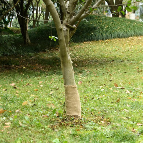 Imag:Jute Roll Natural 100% natural jute 0.25 x 16.4 ft
