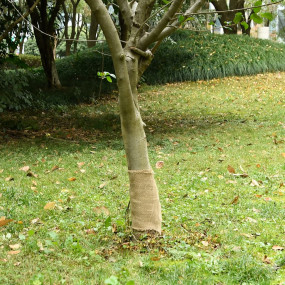 Imag:Jute Roll Natural 100% Natural Jute 0.25 x 50 m Jute Roll