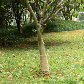 Imag:Jute Roll Natural 100% natural jute 0.1x328.1 in