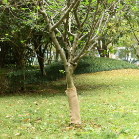 Imag:Jute Roll Natural 100% Natural Jute 1.6 x 82.7 in Sturdy