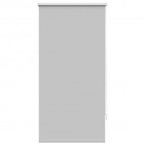 Blind Grey Polyester, Aluminum, PVC 23.6 x 47.2