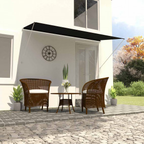 Imag:Awning Anthracite Steel frame 118.1 x 59.1 in Retractable