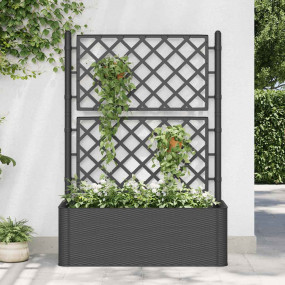 Raised Bed Anthracite Plastic (PP) 39.4 x 16.9 x 55.9 i...