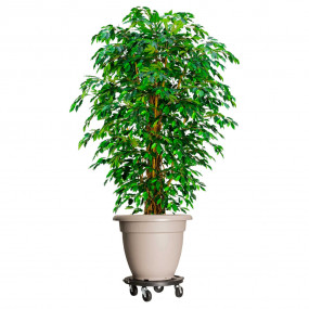 Plant Trolley Set of 5 Black Polypropylene, Steel Mediu...