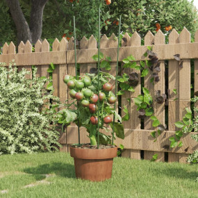 Garden Plant Support Set of 5 Green