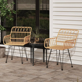 Garden Chair Set of 2 Brown Steel, Polyethylene Rattan ...