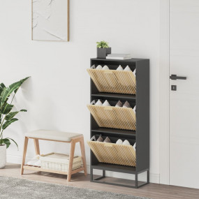 Shoe Cabinet Black Engineered wood Medium Shoe Cabinet