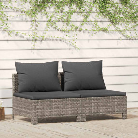 2-seater Garden Sofa Grey Poly rattan, powder-coated st...