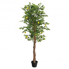 Artificial Lemon Tree Green Polypropylene, Eucalyptus w...