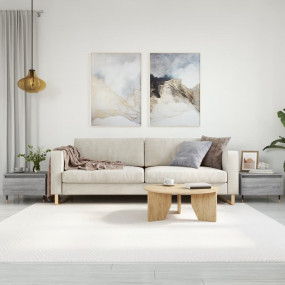 Coffee Table Set of 2 Grey Sonoma Engineered wood, Meta...