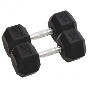 Dumbbells 2 pcs 44.1 lb Cast Iron