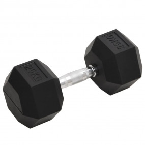 Dumbbell 55.1 lb Cast Iron