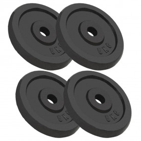 Weight Plates 4 pcs 4x11.0 lb Cast Iron