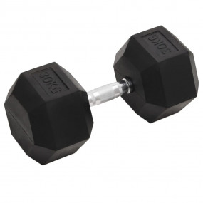 Dumbbell 66.1 lb Cast Iron
