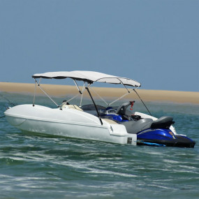 4-bow Bimini Top with Mesh Sidewalls 95.7x(66.9-71.7)x5...