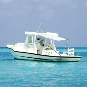 T-Top Shade Extension White 66.9 x 81.9 x (45.3-72.0) "