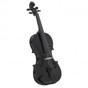 Violin Full Set with Bow and Chin Rest Black 4/4