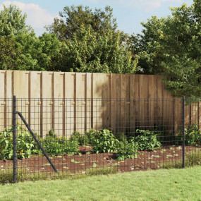 Wire Mesh Fence Anthracite 3.3x82.0' Galvanized Steel