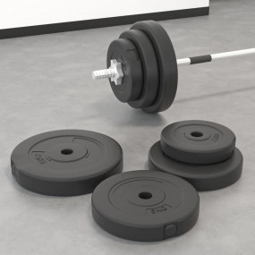 Weight Plates 6 pcs 66.1 lb Cement