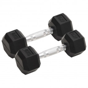 Dumbbells 2 pcs 17.6 lb Cast Iron