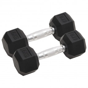 Dumbbells 2 pcs 26.5 lb Cast Iron