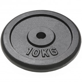 Weight Plates 2 pcs 2x22.0 lb Cast Iron