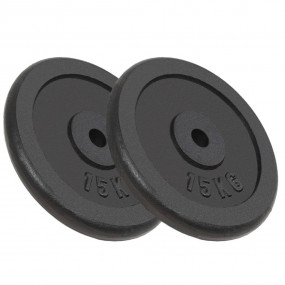 Weight Plates 2 pcs 2x33.1 lb Cast Iron