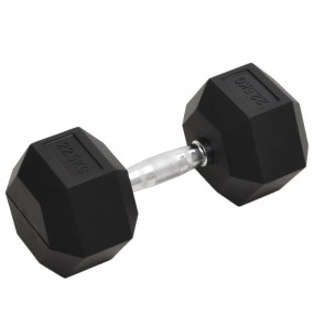 Dumbbell 49.6 lb Cast Iron