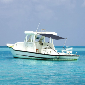 T-Top Shade Extension Navy Blue 66.9 x 81.9 x (45.3-72....