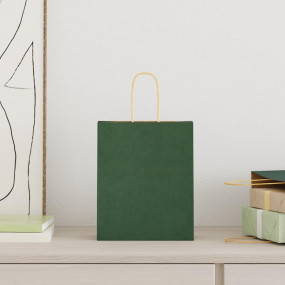 Paper Bags 250 pcs with Handles Green 18x8x22 cm